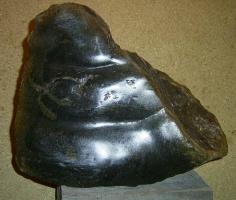 tors serpentijn liggend (achter)